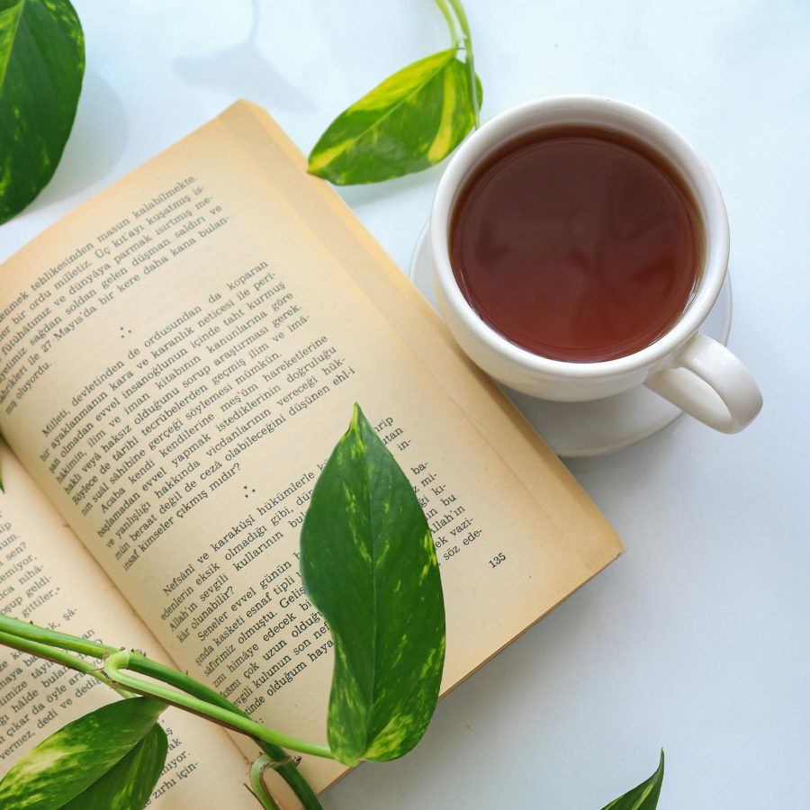 Fireside Almond - Image 2